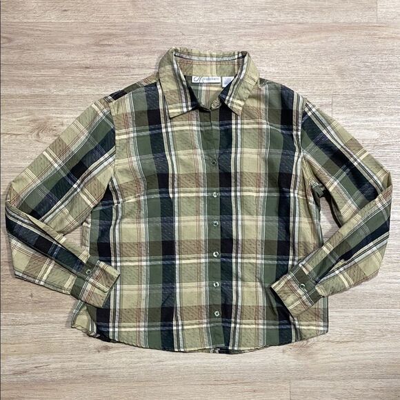2 Dressbarn Blouses L Vintage-Inspired Button Downs, Plaid & Embroidered Stripe - Picture 7 of 15